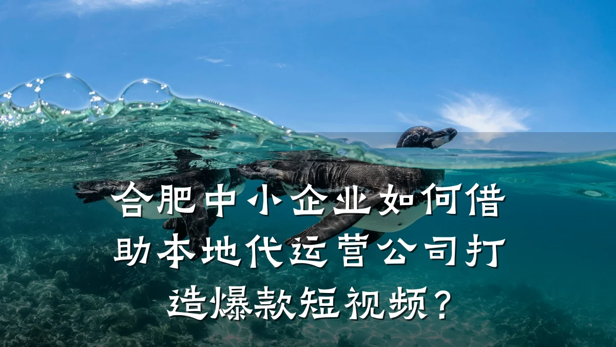 合肥中小企业如何借助本地代运营公司打造爆款短视频?