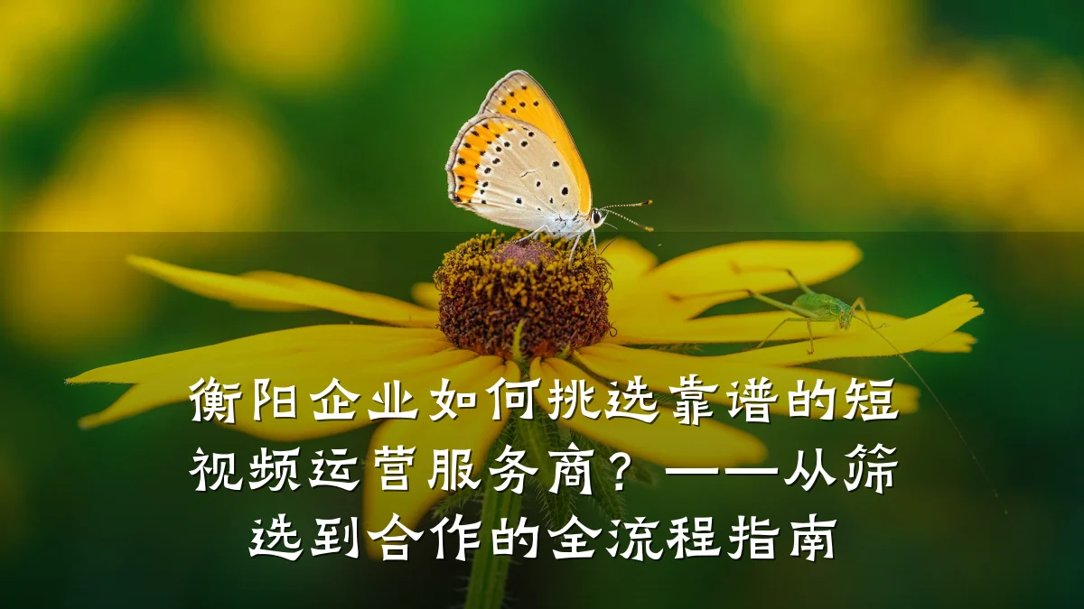 衡阳企业如何挑选靠谱的短视频运营服务商?——从筛选到合作的全流程指南