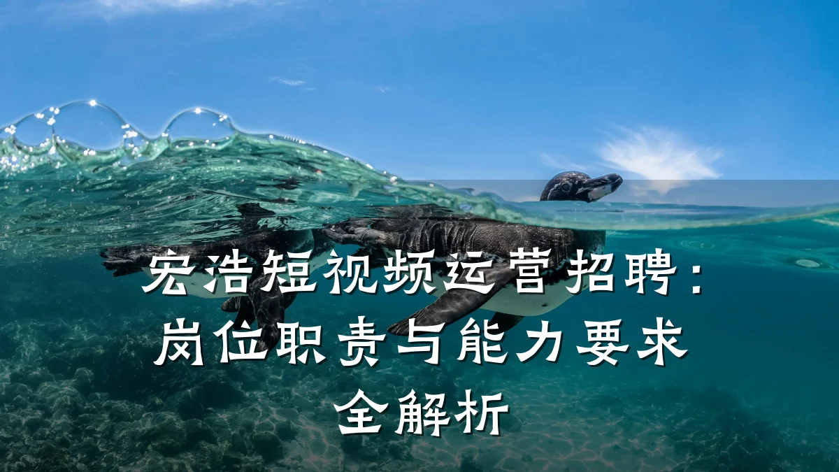 宏浩短视频运营招聘：岗位职责与能力要求全解析
