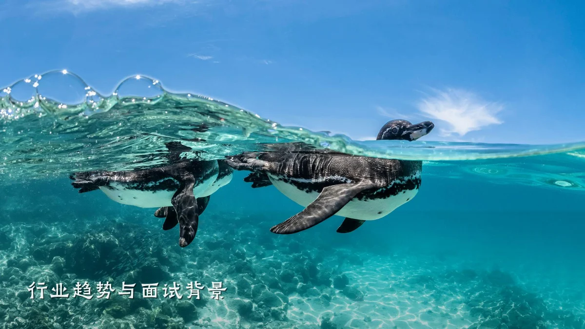 行业趋势与面试背景