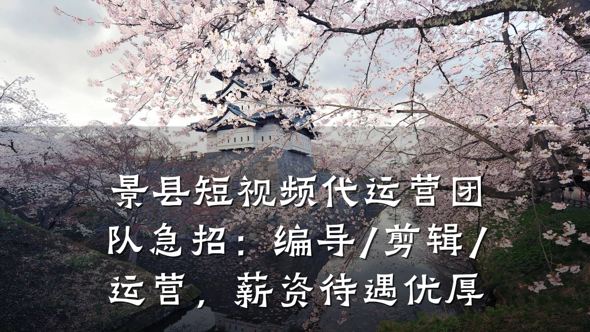 景县短视频代运营团队急招：编导/剪辑/运营，薪资待遇优厚