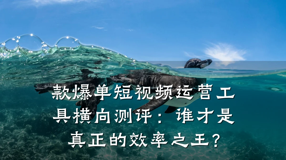 款爆单短视频运营工具横向测评:谁才是真正的效率之王?