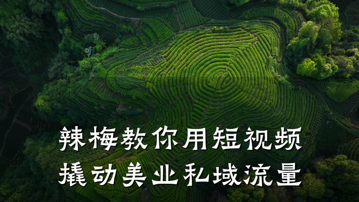 辣梅教你用短视频撬动美业私域流量