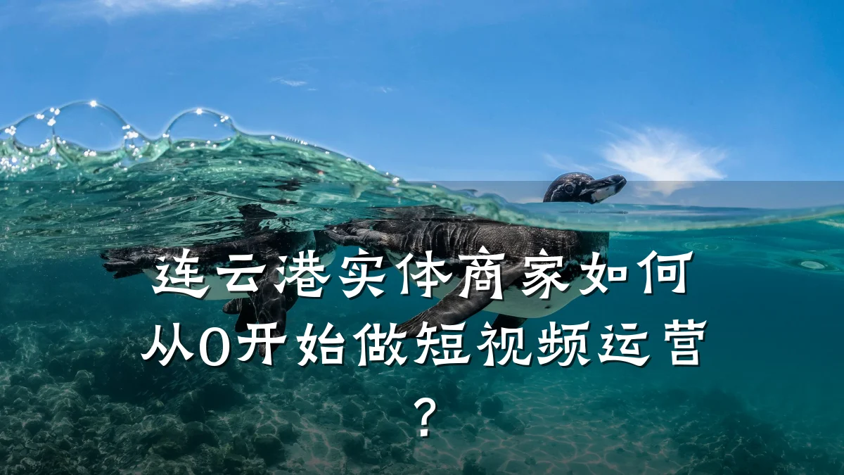 连云港实体商家如何从0开始做短视频运营？