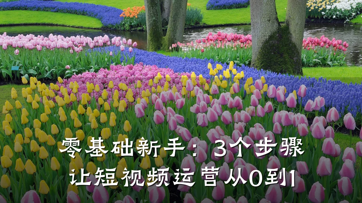 零基础新手:3个步骤让短视频运营从0到1