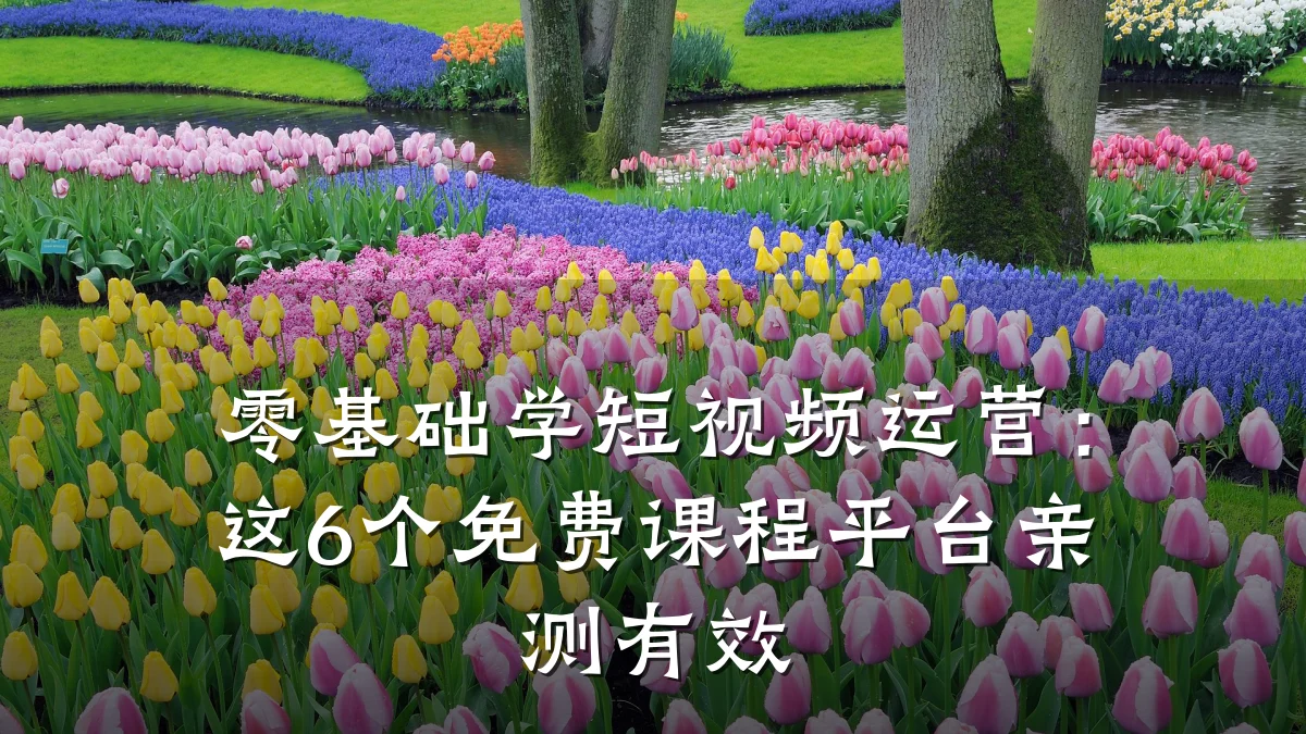 零基础学短视频运营：这6个免费课程平台亲测有效