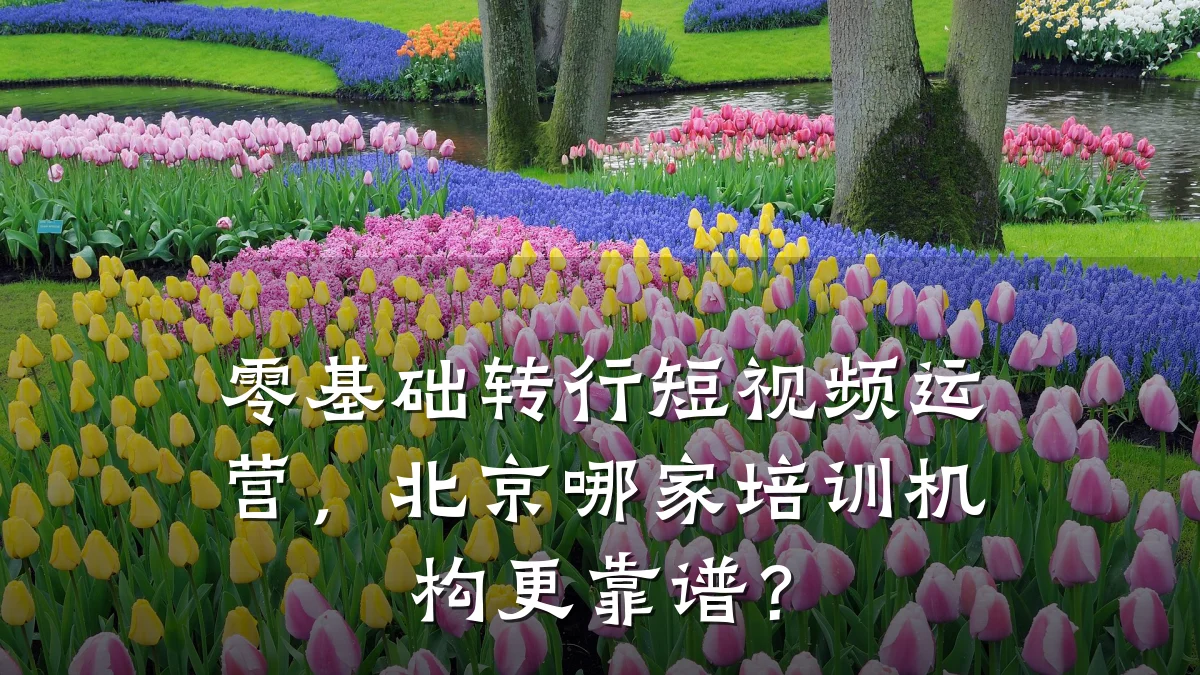零基础转行短视频运营，北京哪家培训机构更靠谱？