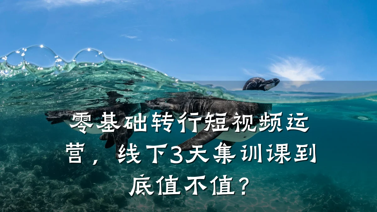 零基础转行短视频运营,线下3天集训课到底值不值?