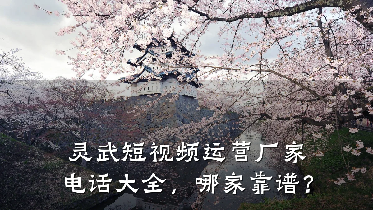 灵武短视频运营厂家电话大全,哪家靠谱?
