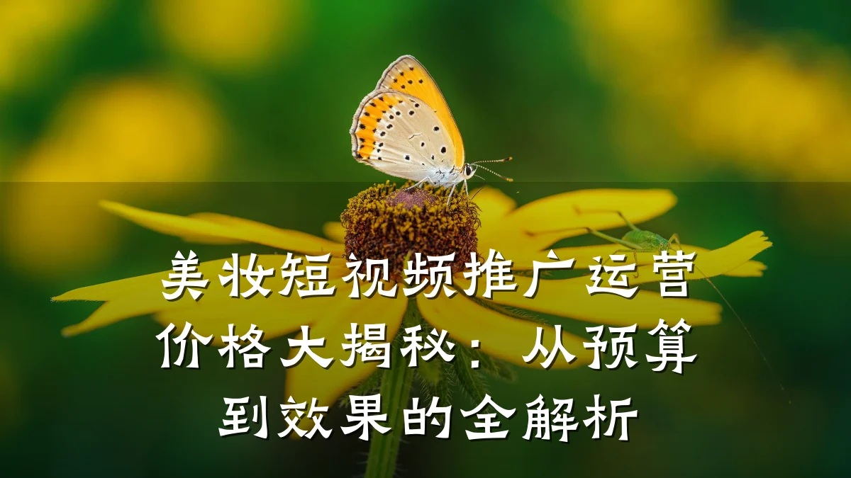 美妆短视频推广运营价格大揭秘：从预算到效果的全解析