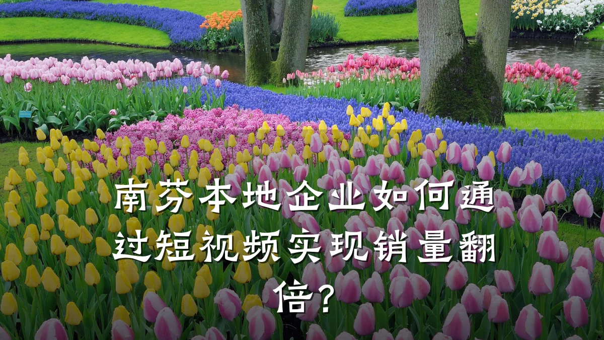 南芬本地企业如何通过短视频实现销量翻倍?