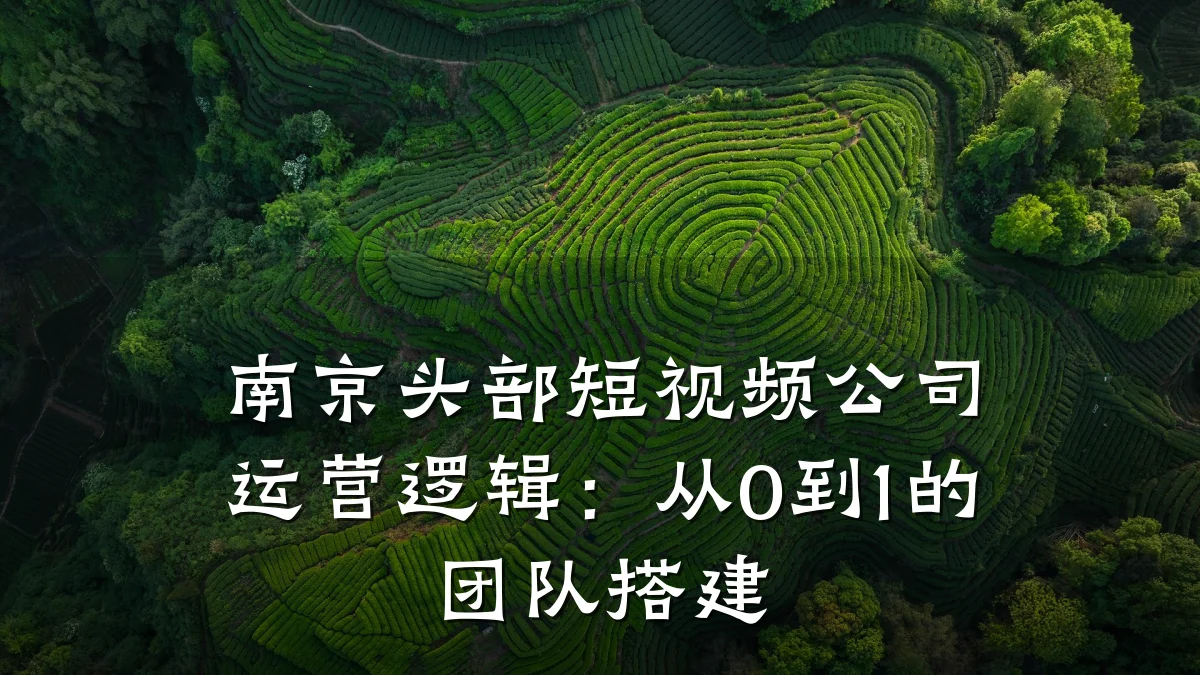 南京头部短视频公司运营逻辑:从0到1的团队搭建