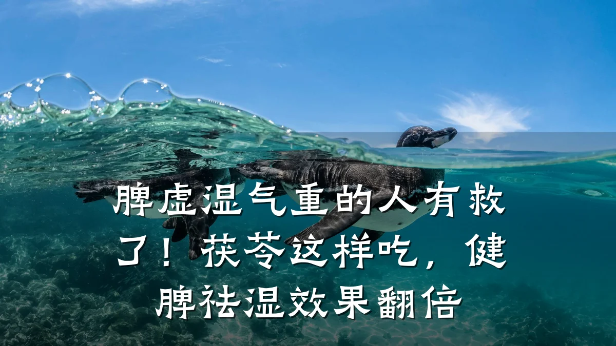 脾虚湿气重的人有救了!茯苓这样吃,健脾祛湿效果翻倍