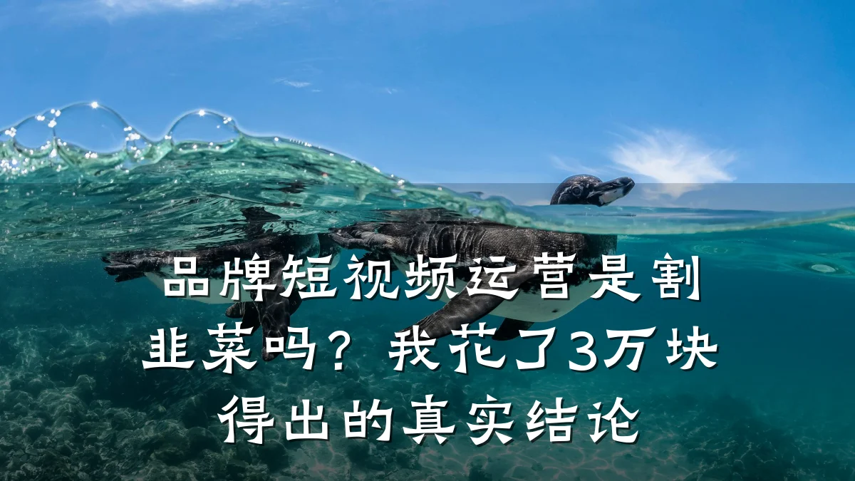 品牌短视频运营是割韭菜吗?我花了3万块得出的真实结论