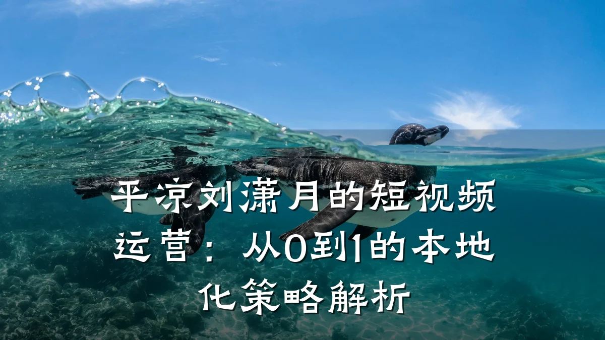 平凉刘潇月的短视频运营:从0到1的本地化策略解析