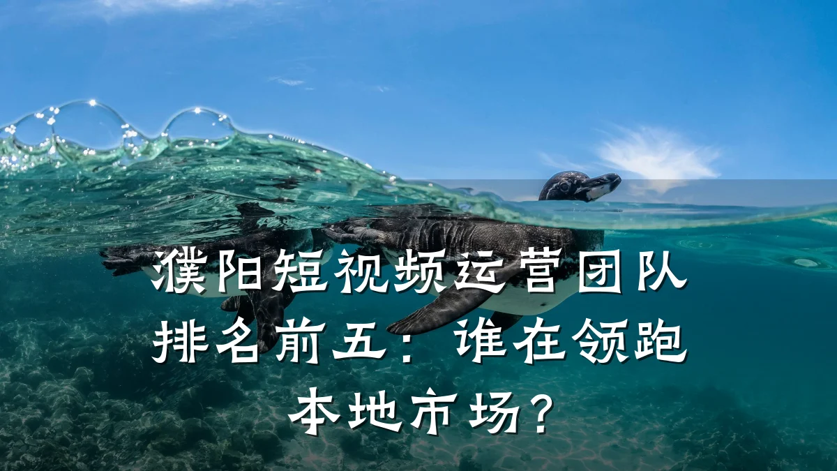 濮阳短视频运营团队排名前五:谁在领跑本地市场?