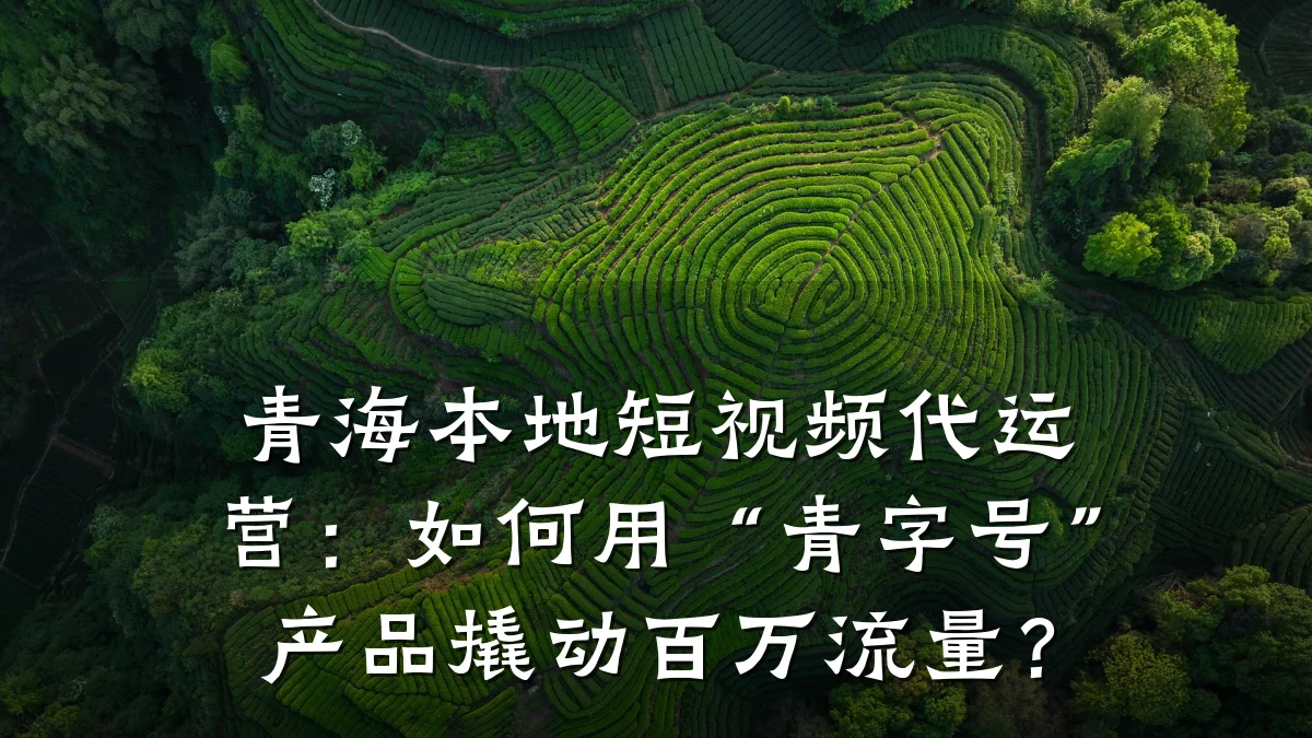 青海本地短视频代运营:如何用“青字号”产品撬动百万流量?