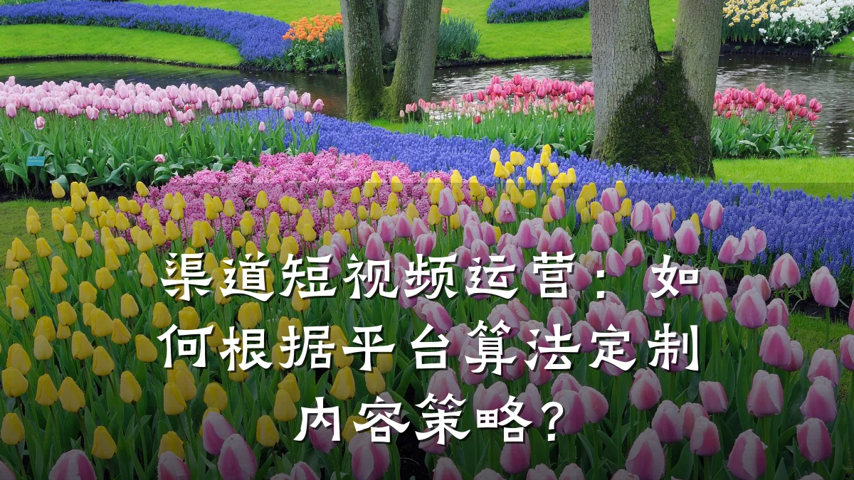 渠道短视频运营:如何根据平台算法定制内容策略?