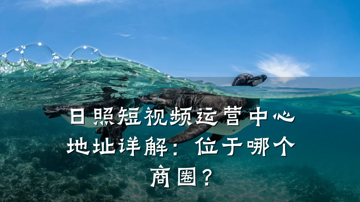 日照短视频运营中心地址详解：位于哪个商圈？