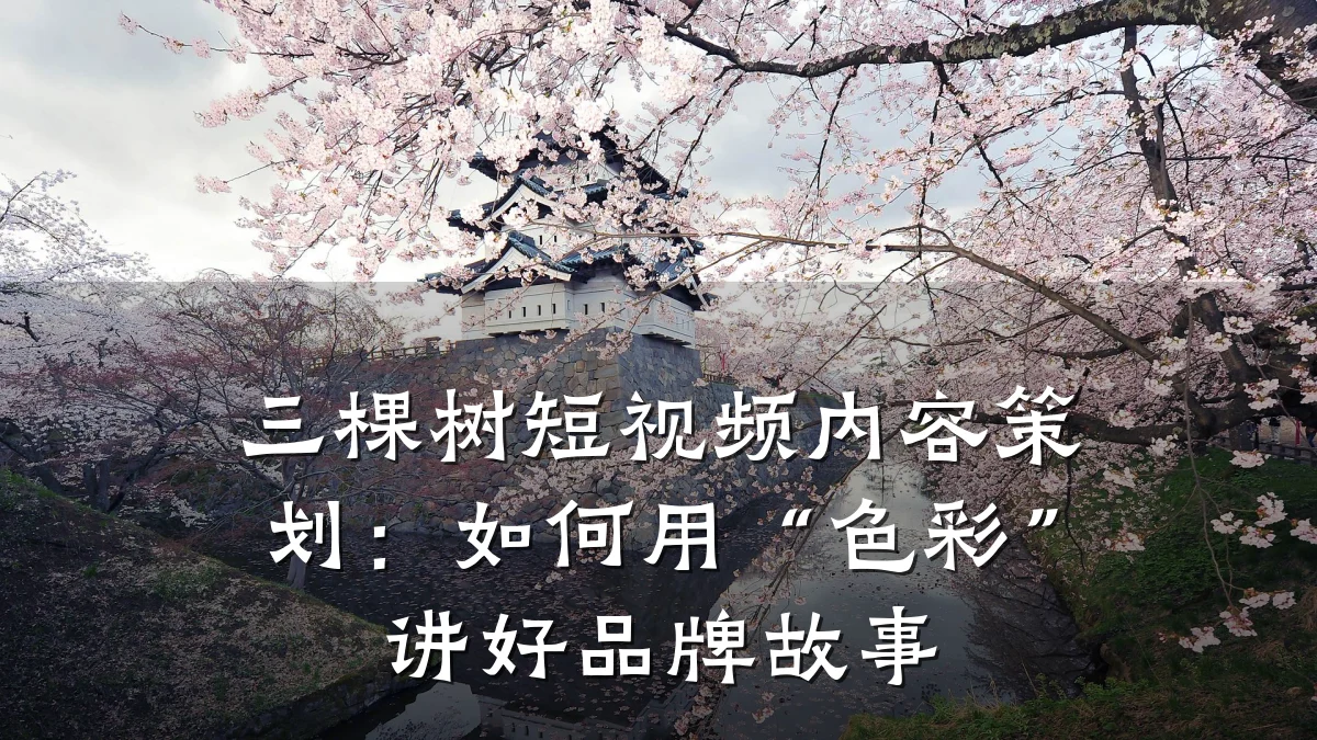 三棵树短视频内容策划：如何用“色彩”讲好品牌故事