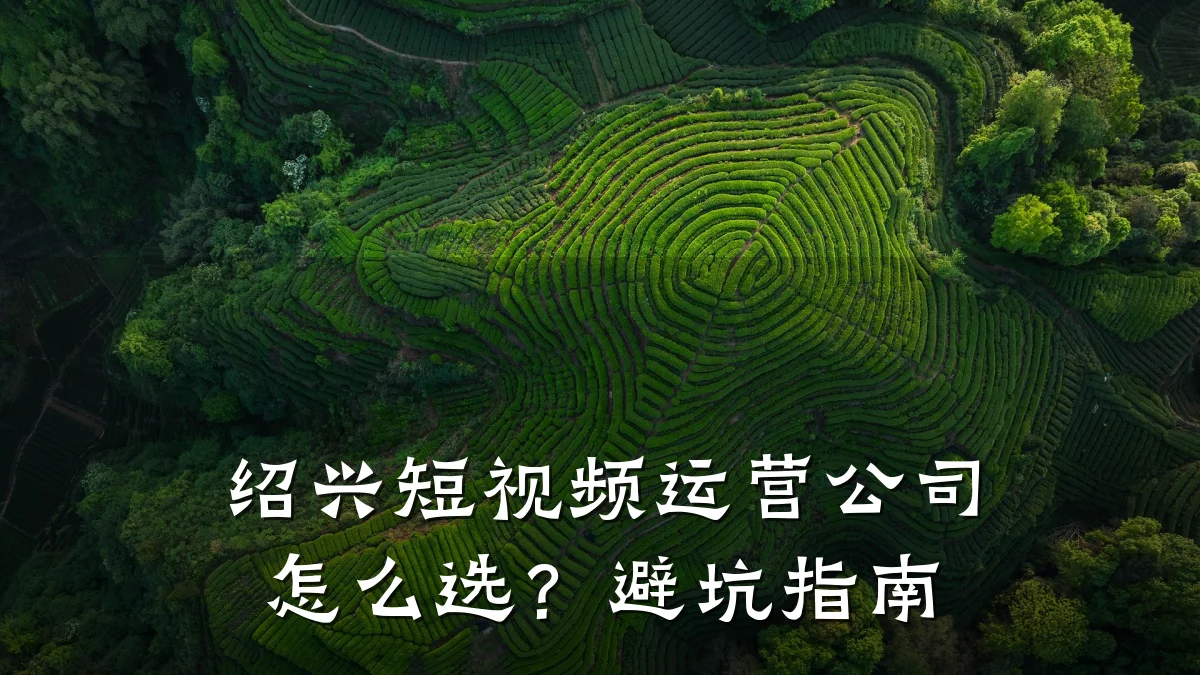 绍兴短视频运营公司怎么选?避坑指南