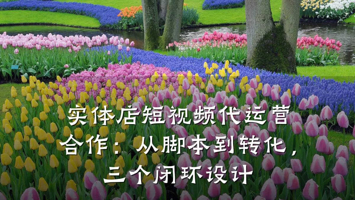 实体店短视频代运营合作：从脚本到转化，三个闭环设计