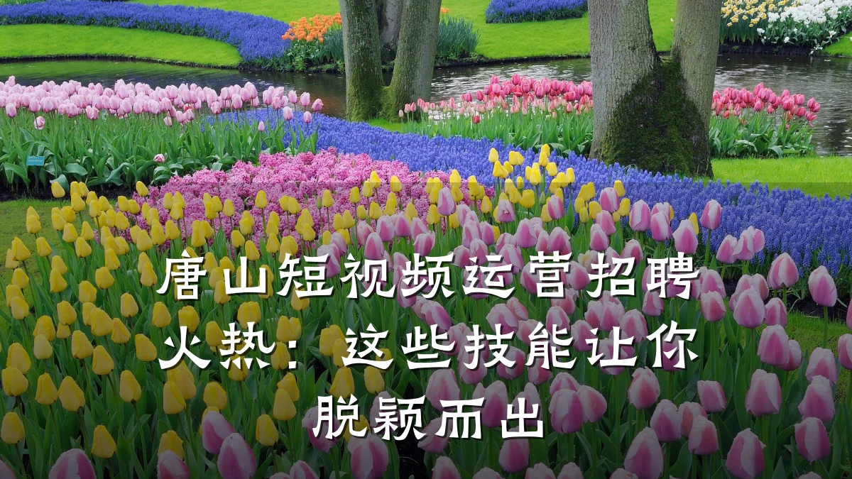 唐山短视频运营招聘火热:这些技能让你脱颖而出