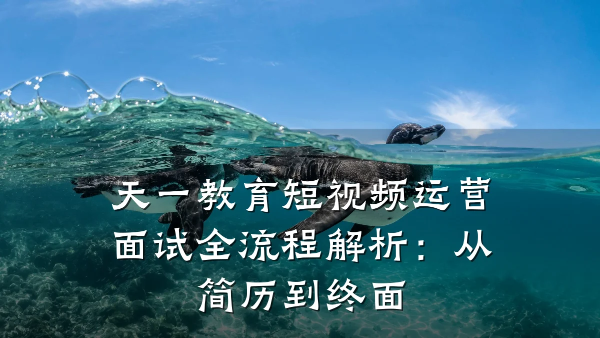 天一教育短视频运营面试全流程解析:从简历到终面