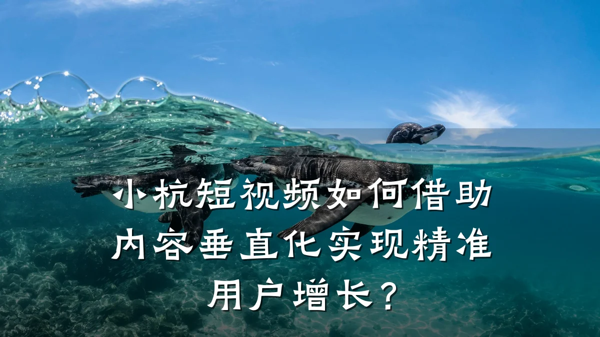 小杭短视频如何借助内容垂直化实现精准用户增长？
