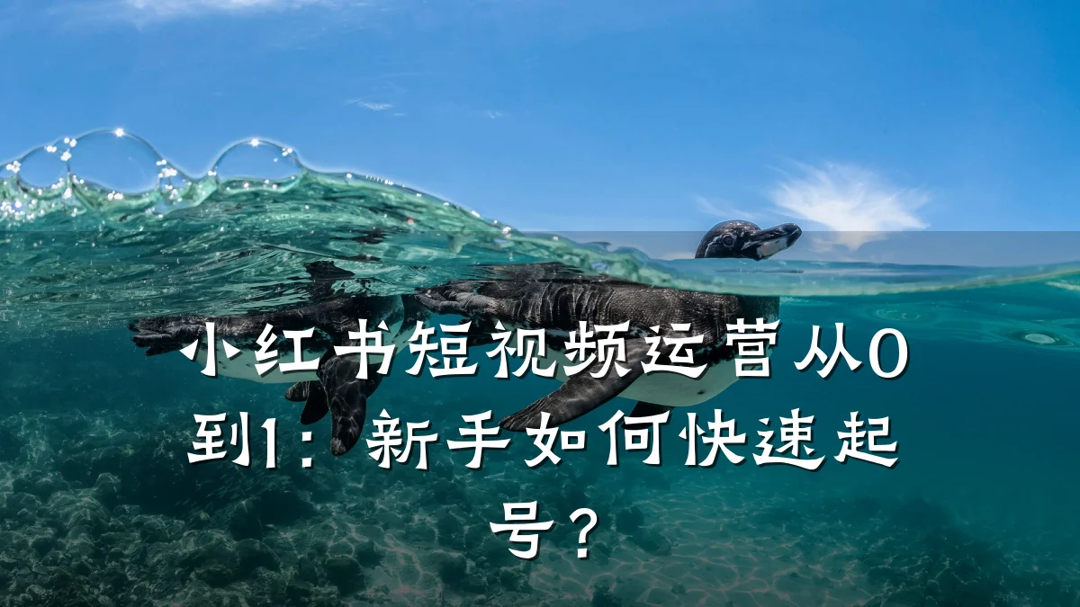 小红书短视频运营从0到1:新手如何快速起号?