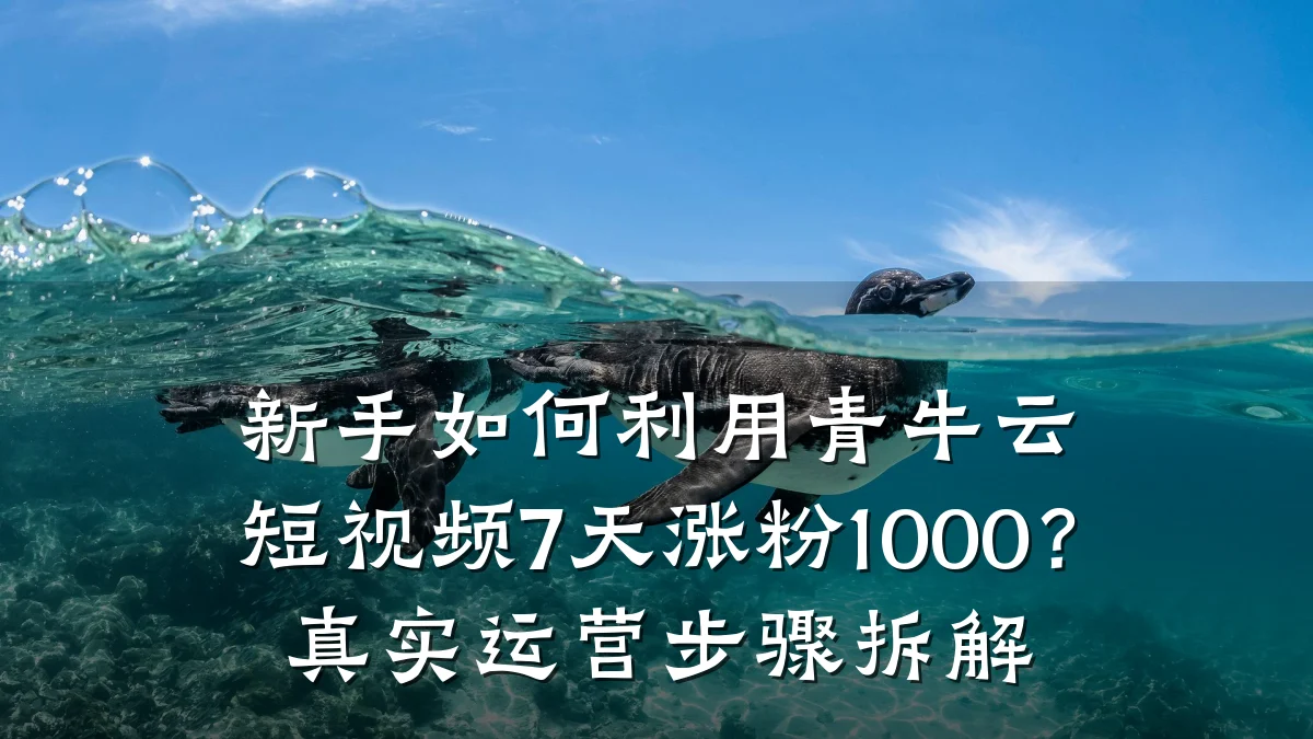 新手如何利用青牛云短视频7天涨粉1000?真实运营步骤拆解