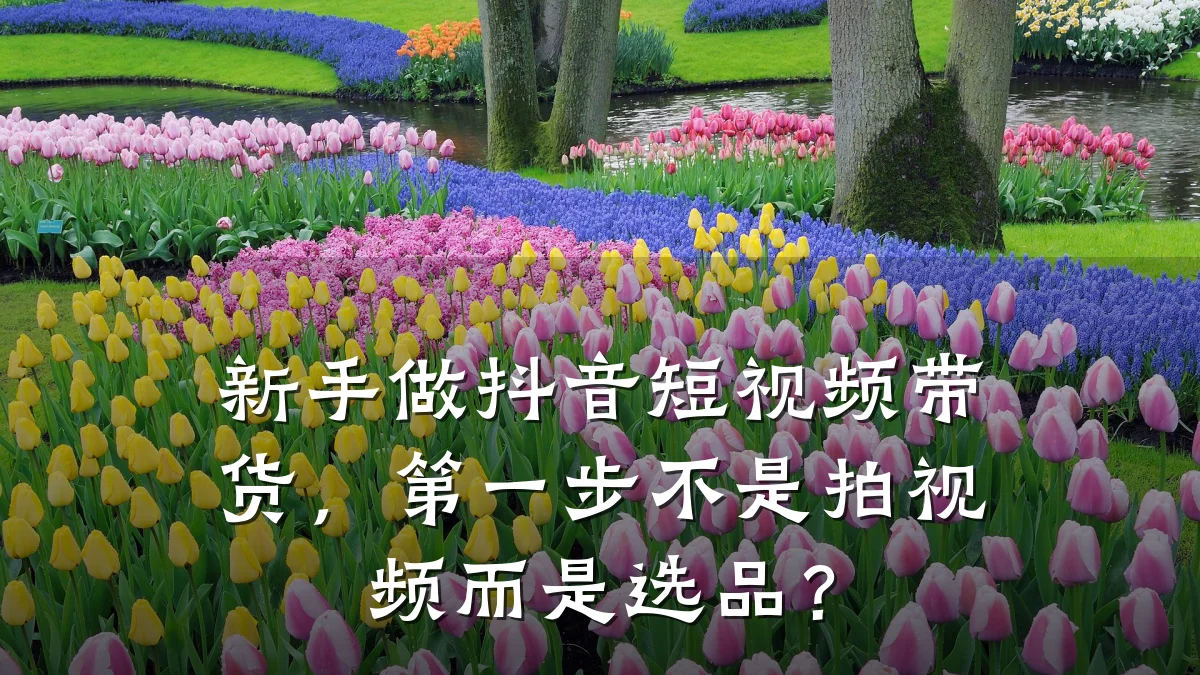 新手做抖音短视频带货,第一步不是拍视频而是选品?