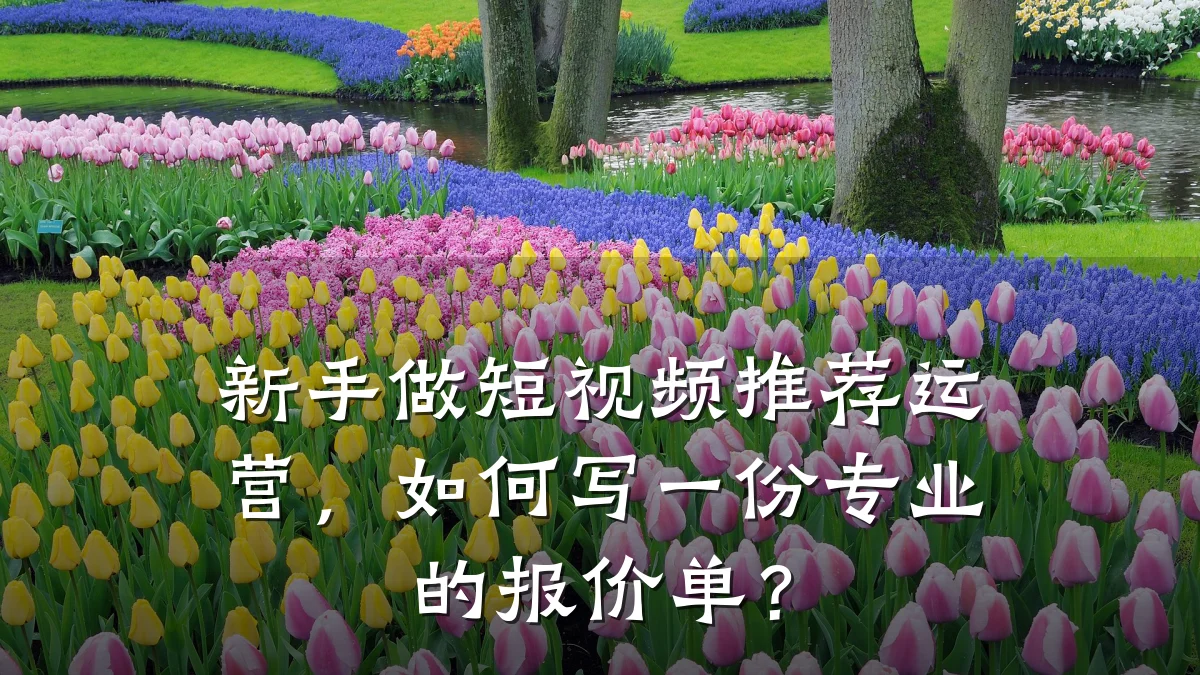 新手做短视频推荐运营,如何写一份专业的报价单?