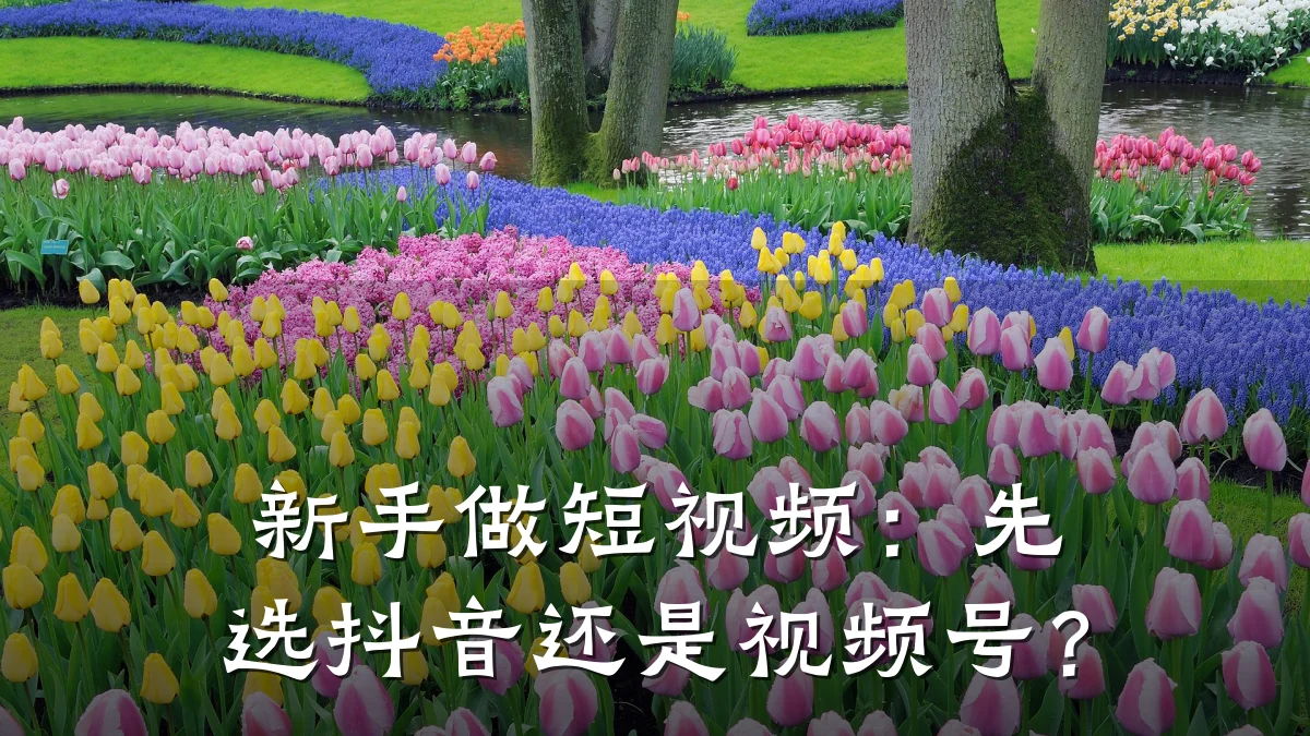 新手做短视频:先选抖音还是视频号?