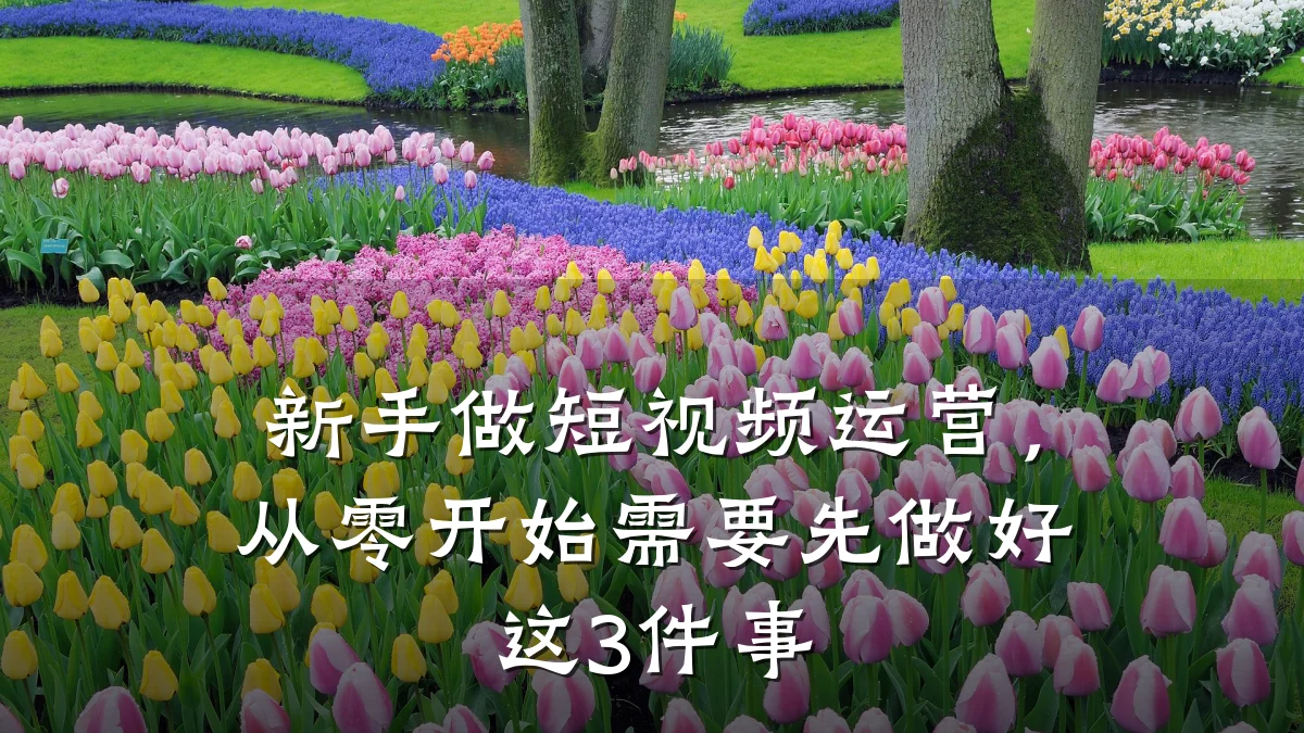 新手做短视频运营,从零开始需要先做好这3件事