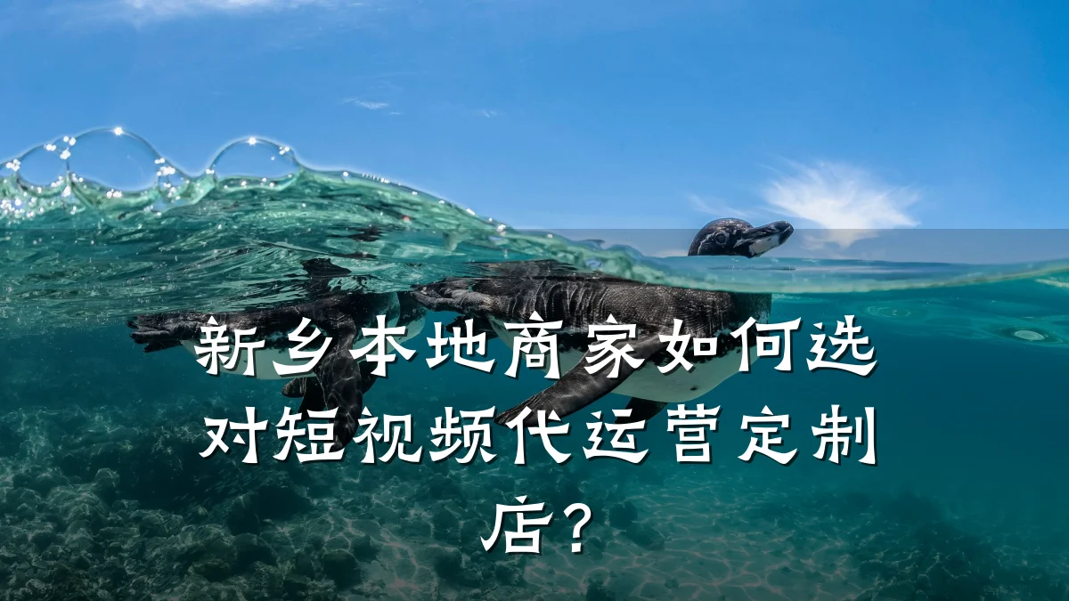 新乡本地商家如何选对短视频代运营定制店?