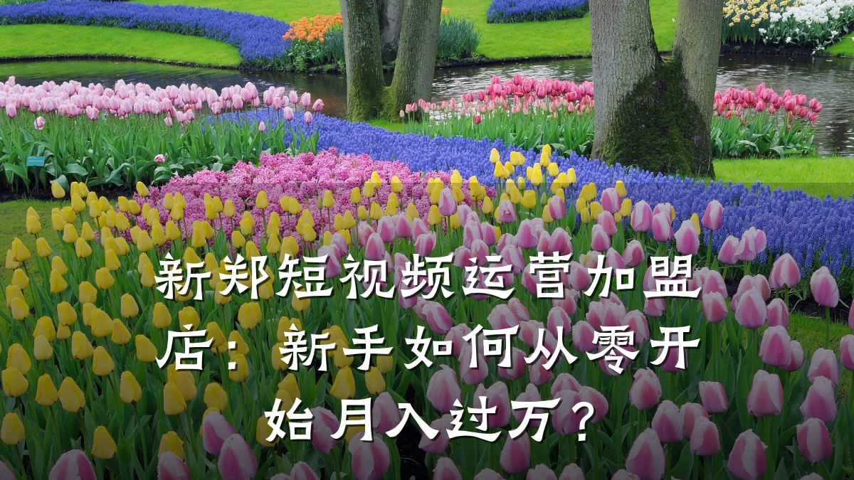 新郑短视频运营加盟店:新手如何从零开始月入过万?