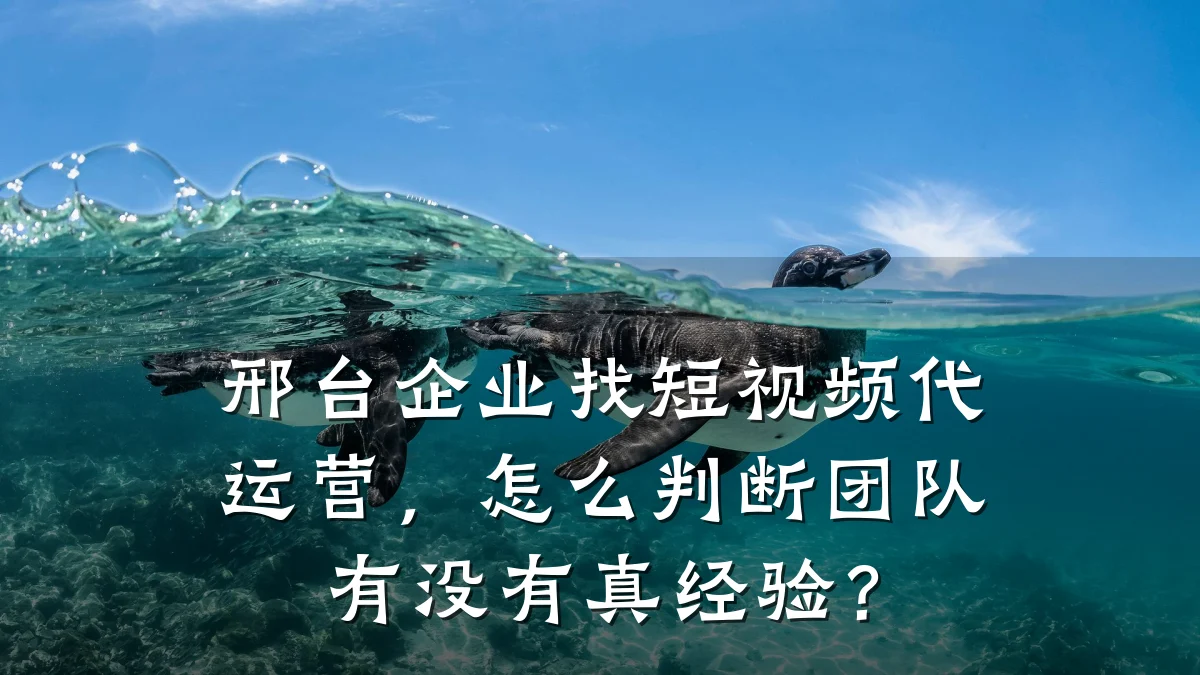 邢台企业找短视频代运营,怎么判断团队有没有真经验?