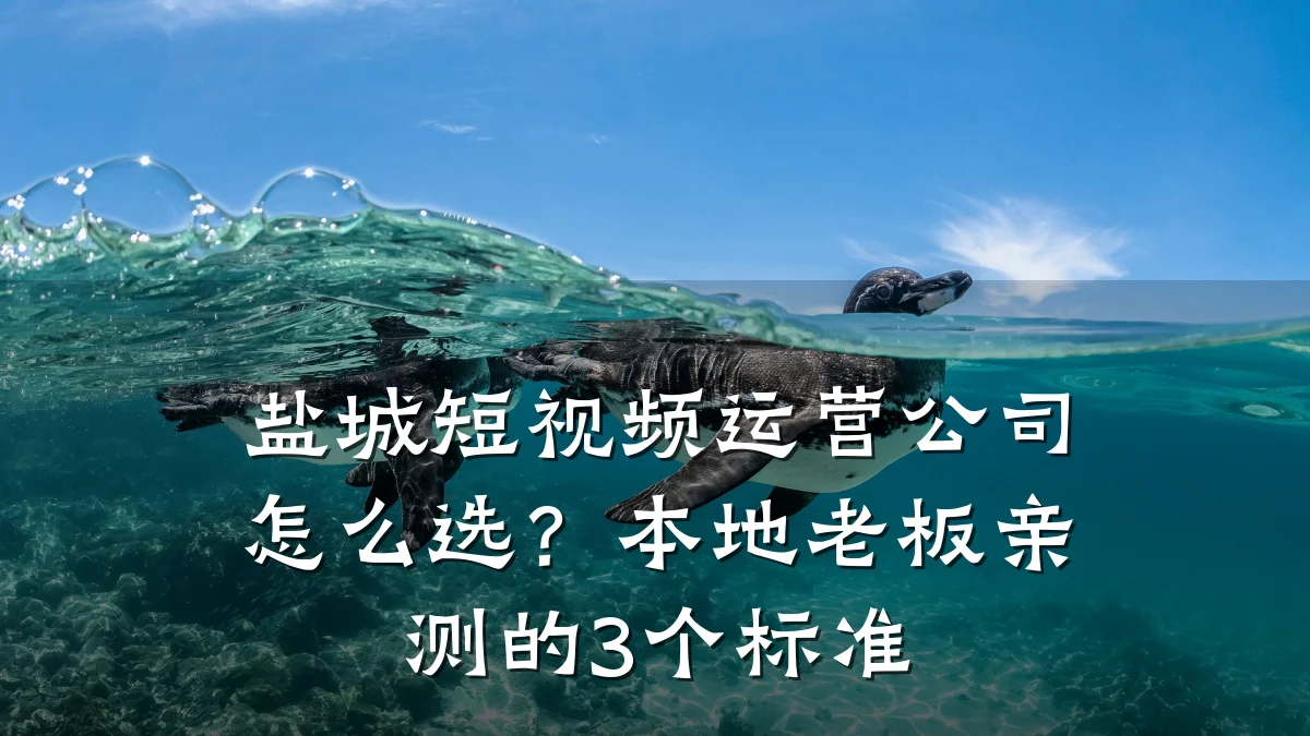 盐城短视频运营公司怎么选?本地老板亲测的3个标准
