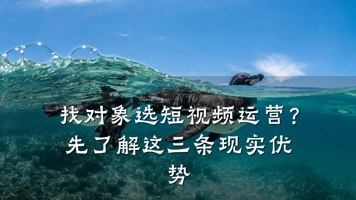 找对象选短视频运营?先了解这三条现实优势