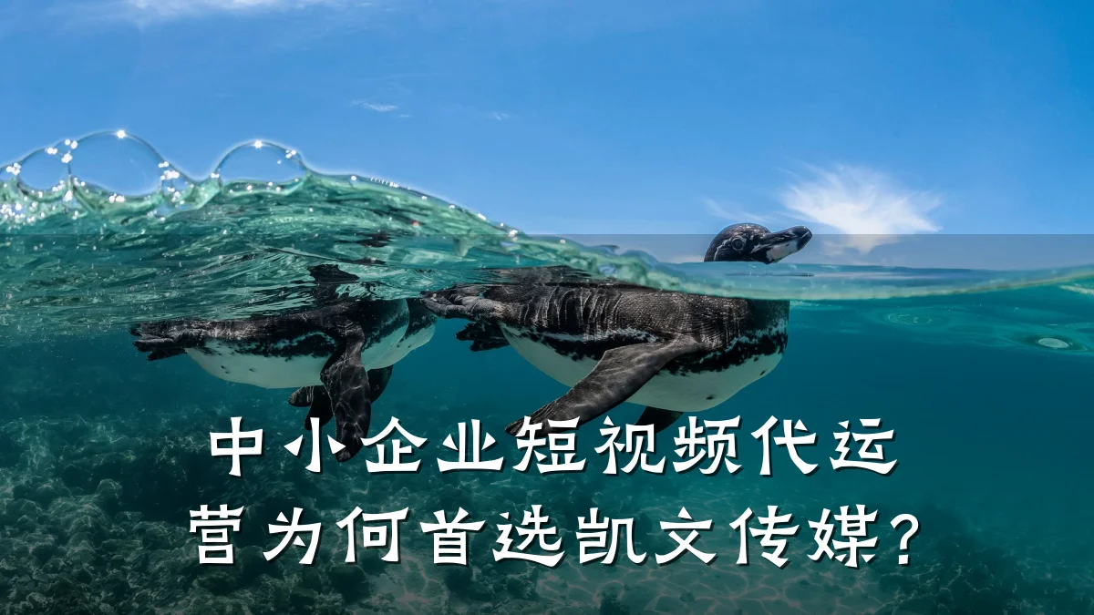 中小企业短视频代运营为何首选凯文传媒?
