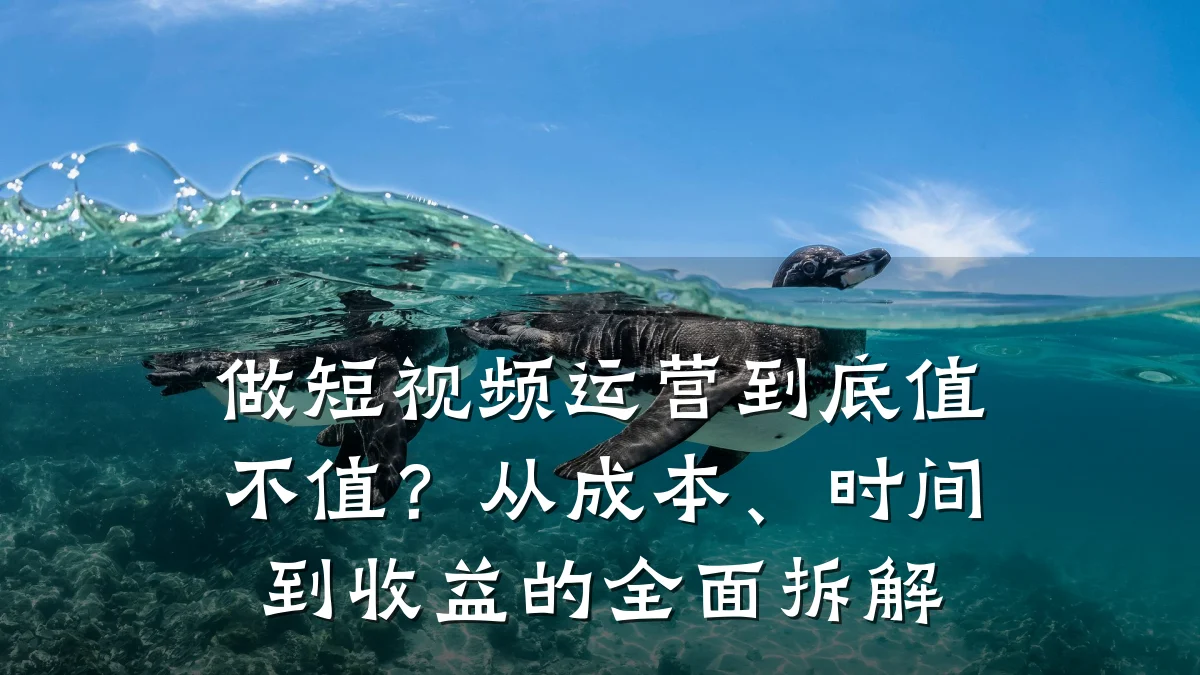 做短视频运营到底值不值？从成本、时间到收益的全面拆解