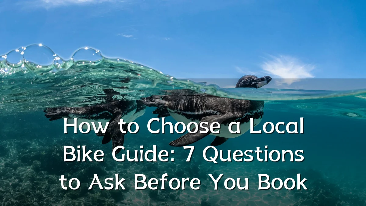 How to Choose a Local Bike Guide: 7 Questions to Ask Before You Book