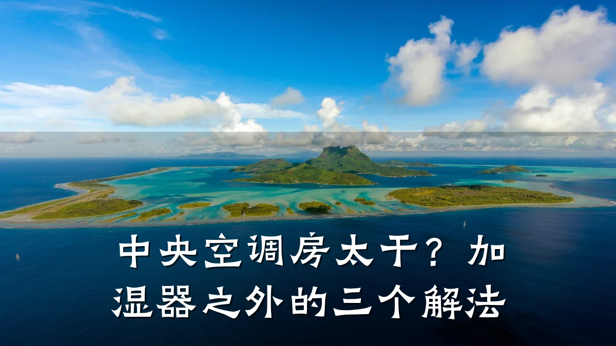 中央空调房太干?加湿器之外的三个解法